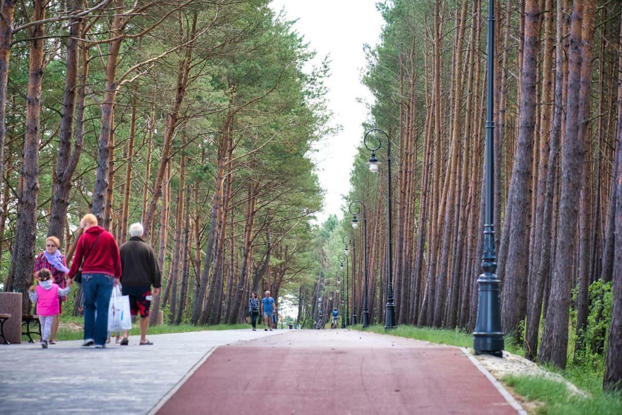 Bed and Breakfast Natura Mierzei 30 - Pokoje Z Widokiem Na Baltyk Крыница-Морска Экстерьер фото
